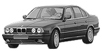 BMW E34 P1371 Fault Code